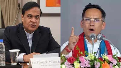 Will file defamation case against Gaurav, other Congress leaders over land grab claim: Himanta Biswa Sarma | India News