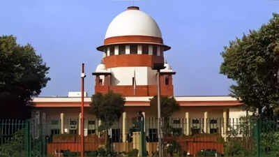 SC: Compensation is not a substitute for punishment | India News
