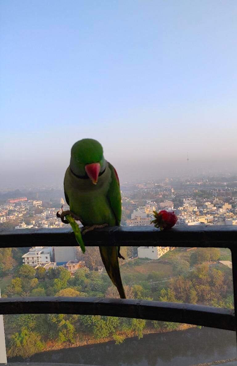 Until we meet again!