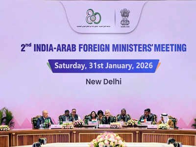 ‘Zero tolerance against terror’: Delhi declaration slams Pahalgam | India News