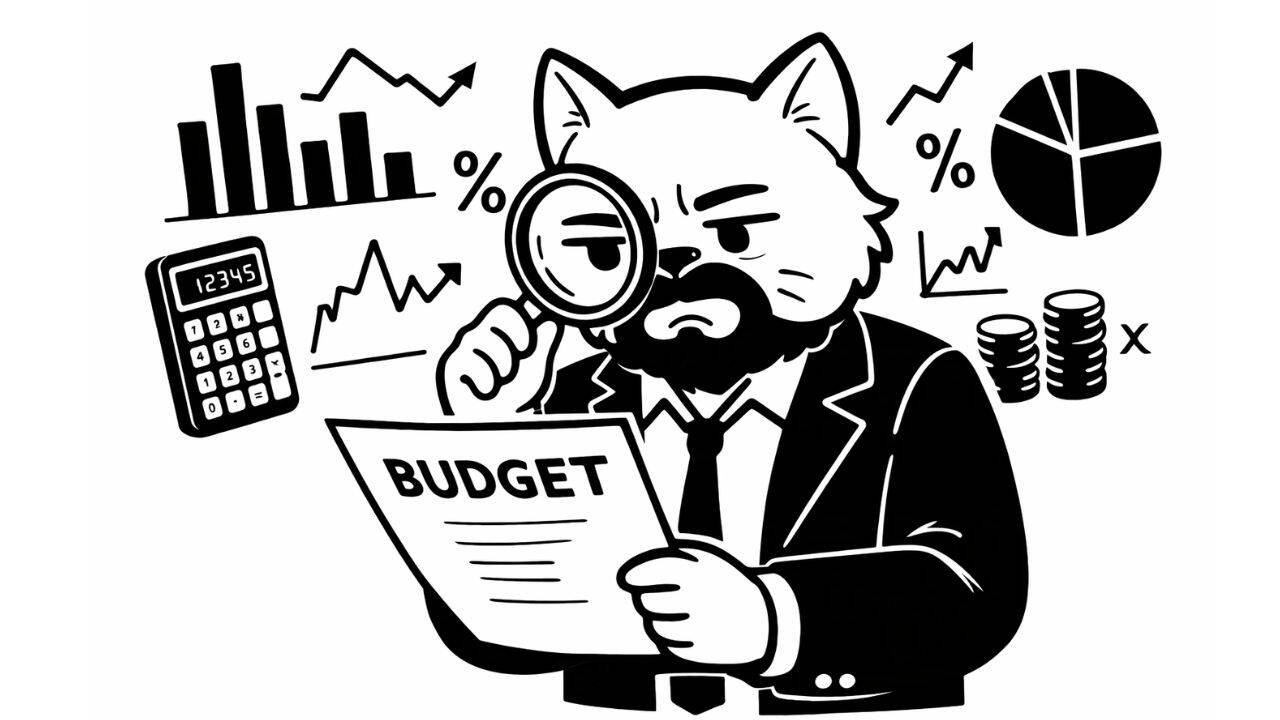 Budget and the great Indian middle-class delusion