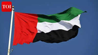 UAE news: Stranded UAE expats reveal harrowing journey back home from India | World News