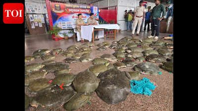 Over 100 live turtles rescued from train at Patna Junction, 5 held | Patna News