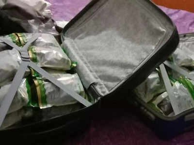 Kingpin of reptile smuggling racket held in Kanpur | India News