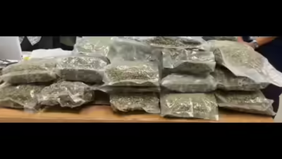 Delivery agent held at airport with hydroponic weed of Rs 8.5cr | India News