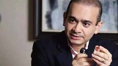 Nirav Modi case: UK judges say claims of interrogation torture in India worrying, only India govt promises reassured them | India News