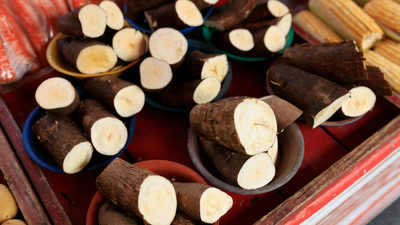 Does sabudana grow on trees or is it factory-made: The simple truth |