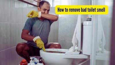 How to remove bad toilet smell fast: 5 expert-recommended simple solutions (#2 works the fastest)
