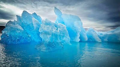 Why Greenland has almost ‘no trees’ and what makes it so unusual; the reason will shock you | World News