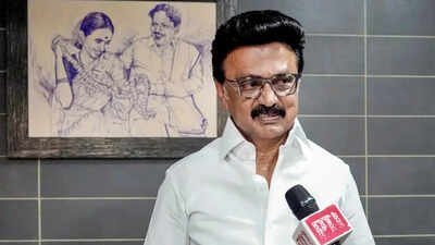 ‘Saffron lies surpasses blatant lies’: Tamil Nadu CM Stalin attacks BJP-led Centre ahead of polls | India News