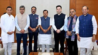 Raghav Chadha, 6 MPs exit AAP: How numbers changed in Rajya Sabha | India News