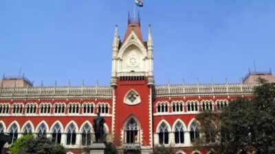 Bengal polls: Calcutta HC cautions EC on preventive detentions | India News