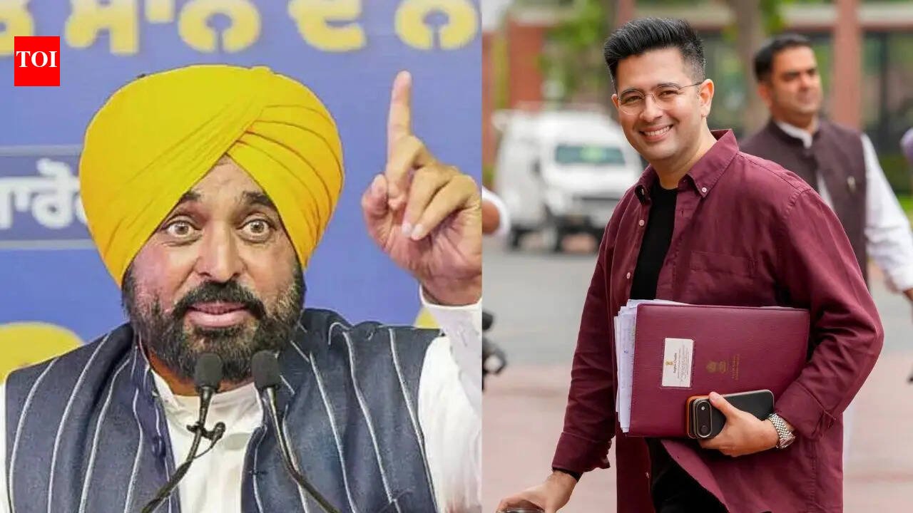 ‘Raghav Chadha is compromised’: Punjab CM Bhagwant Mann responds to AAP’s Rajya Sabha move | Chandigarh News
