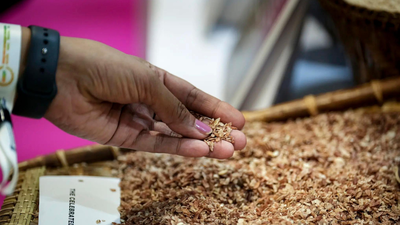 Govt mulls sending surplus rice as aid to conflict-hit Iran | India News