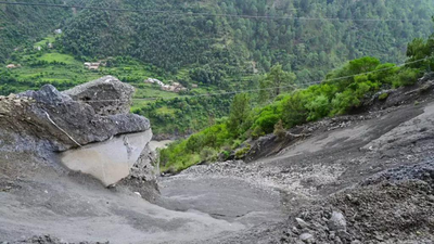 Man transporting cattle jumps into Ramban rivulet to escape assault, goes missing; 4 held | India News