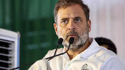 Rahul Gandhi says TMC graft & polarisation created way for BJP to enter West Bengal | India News