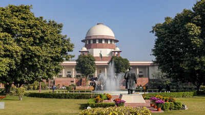 ‘Inept probe’: SC acquits 12 lifers in 2008 murder case | India News