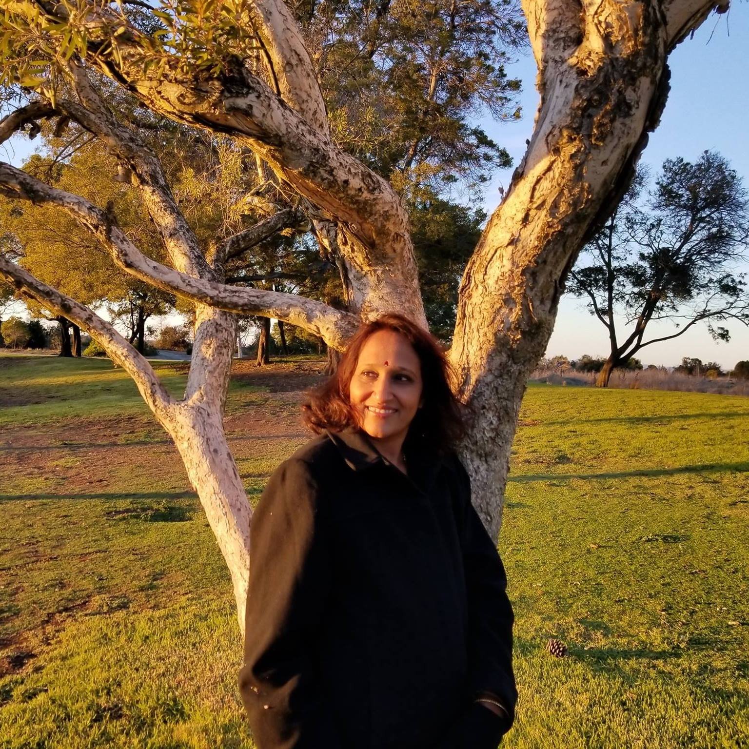 Group tours, a personal perspective