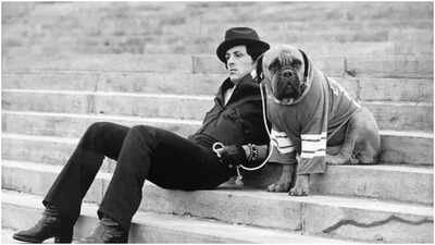 Before Rocky’s success, Sylvester Stallone sold his dog for $40 for survival: ‘We were both hungry, and living in a flophouse’ | English Movie News