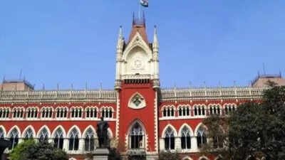 HC junks EC decision to appoint assistant professors as presiding officers | India News