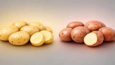 Chandramukhi vs Jyoti potatoes: Texture, taste, price and best uses that can completely change your Bengali cooking |