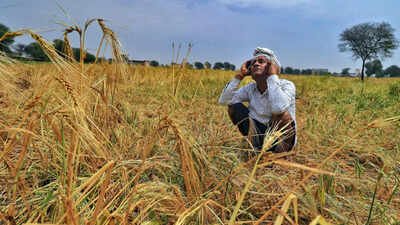 IMD predicts ‘below normal’ monsoon rainfall over the country amid growing risk of El Niño | India News