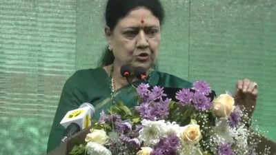 Tamil Nadu polls: Sasikala, Ramadoss may play spoilsport for AIADMK | India News