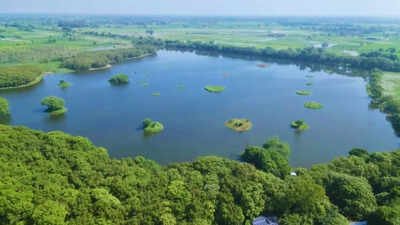 Shekha Jheel Bird Sanctuary of Aligarh gets a global tag, taking India’s tally of protected wetlands to 99 | India News