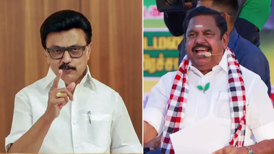 300 cos of paramilitary forces, 84k cops on duty as Tamil Nadu goes to polls | India News