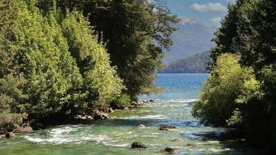 UK’s battle to restore environment reaches the High Court