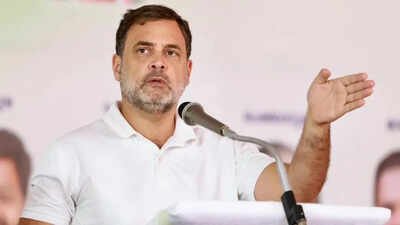 Rahul Gandhi Accuses Modi Government of Excluding Dalit, Adivasi, and OBC Entrepreneurs from Major Public Contracts | India News