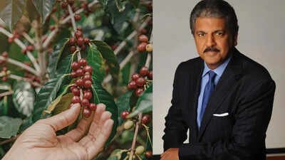 Why is Anand Mahindra still emotionally connected to a 60-acre coffee plantation from his childhood |