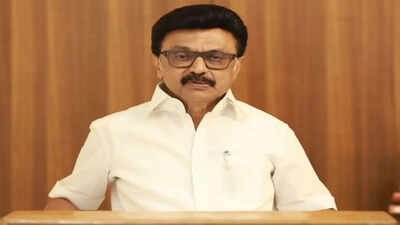 Tamil Nadu verdict: Let Vijay form government, will watch, won’t disturb for 6 months, says MK Stalin | India News