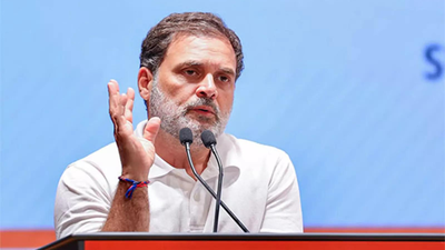 Allahabad HC rejects plea seeking FIR against Rahul Gandhi over ‘fighting the Indian State’ remark | India News