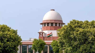 Illegal infiltration into India not terror act: Supreme Court; gives bail to Bangladeshi who helped others to cross over | India News