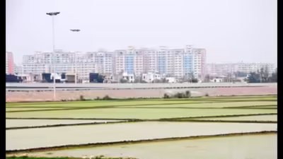 Noida plot decree pending for 40 years | India News