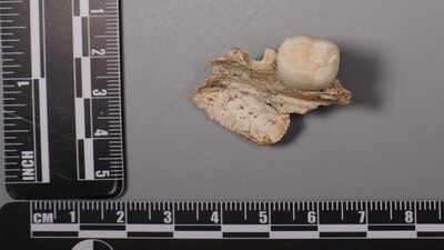 Mysterious fossil evidence hints at a lost chapter of human connection