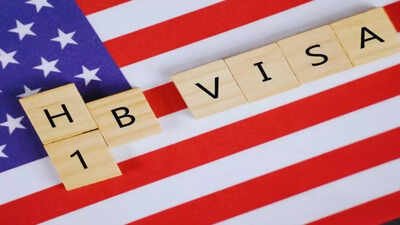 ‘Is the fight for Green Card worth it?’ H-1B visa holder says he has decent money but can see parents once every two years