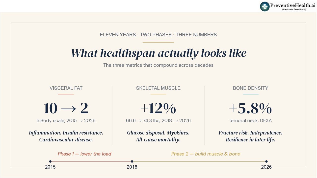 Seven years of data — What my body composition scans, blood tests and wearable actually reveal about healthspan
