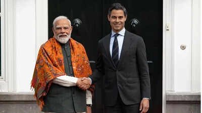 India, Netherlands set up joint working group on clean energy