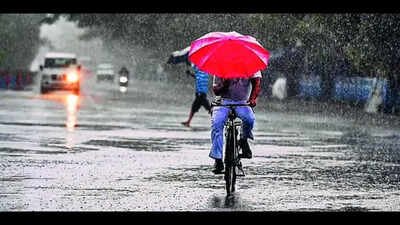 Margao council gears up for monsoon season | Goa News