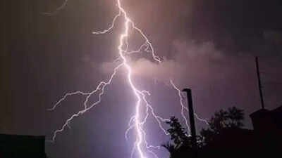 7 killed in lightning strikes across Bihar; CM Samrat Choudhary announces Rs 4 lakh ex gratia | Patna News