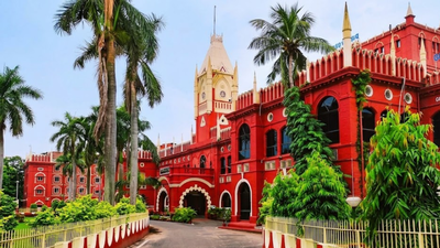 Orissa high court seeks Centre’s reply on safety norms at ports for ships carrying ammonium nitrate
