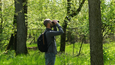 Crowdfunding helps Serbian birdwatchers save woodland