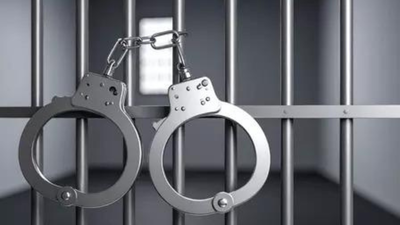 10,312 arrested in 2024 in cases linked to cruelty against animals, NCRB tracks animal cruelty cases for first time | India News
