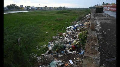 Waste dumping, burning along Vaigai banks raise pollution concerns in Madurai | Madurai News