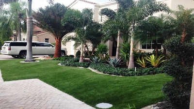 Why some front garden borders look expensive even with fewer plants?