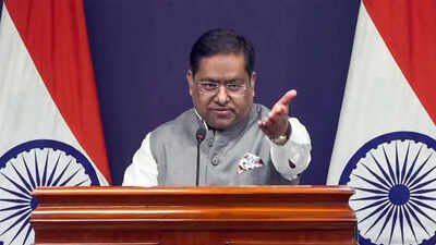 Expedite verifications, MEA tells Dhaka | India News
