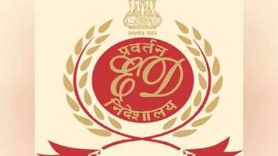 ED: Rajesh Exports probe revealed 3k crore trade set-offs | India News