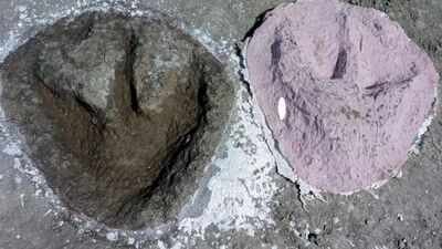 166-million-year-old Jurassic dinosaur highway discovered beneath a British quarry | World News